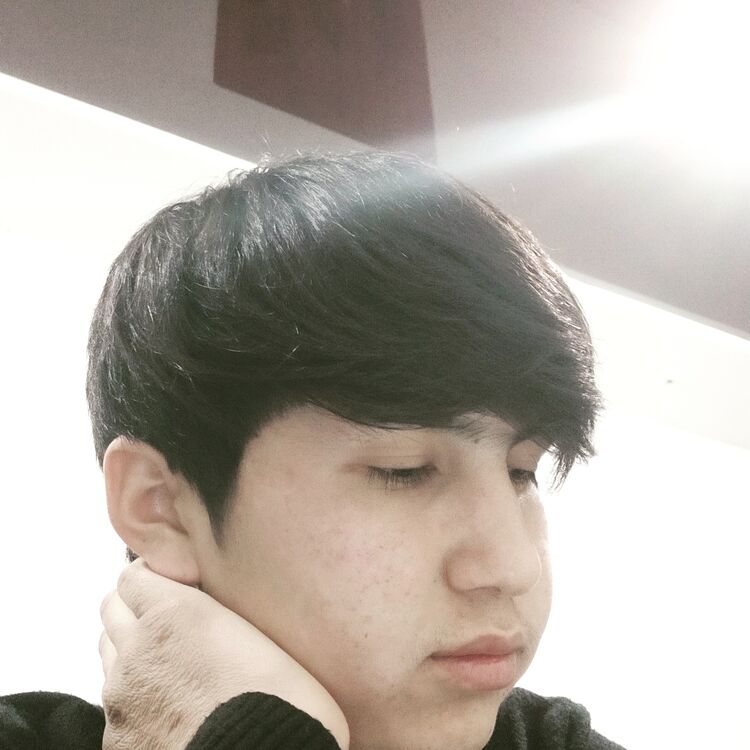  40933948  , 20 ,    
