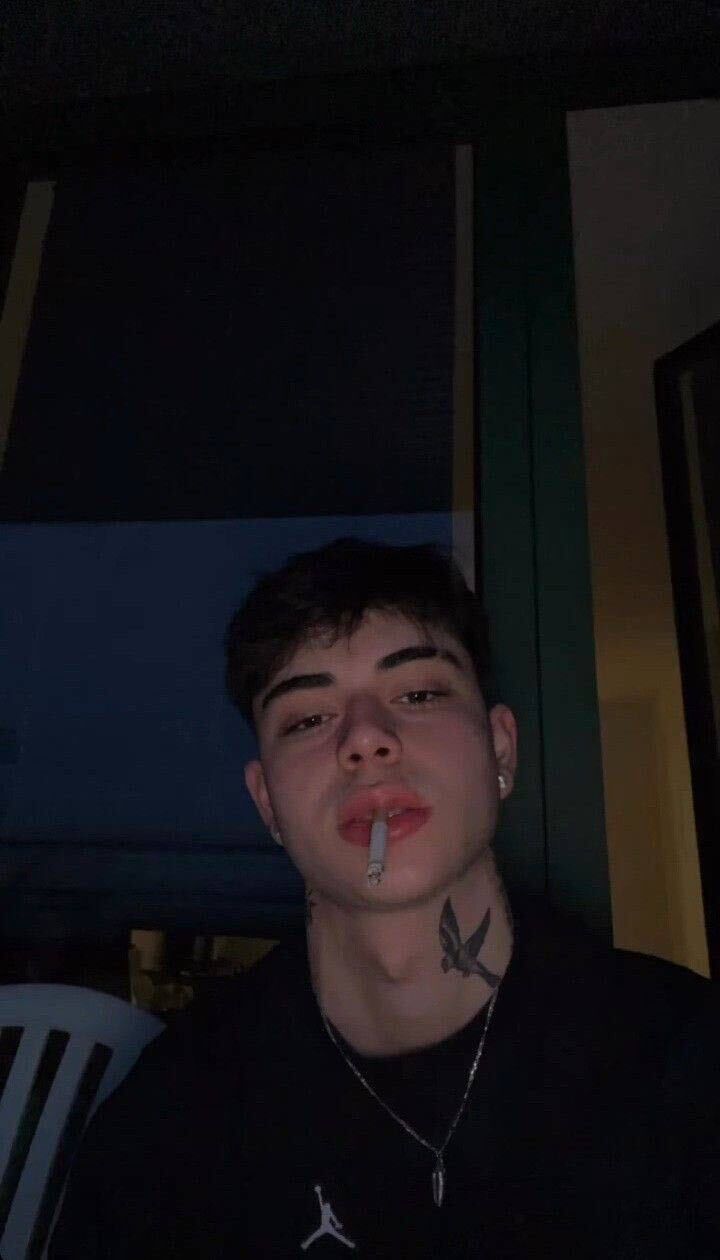  44267738  , 20 ,    