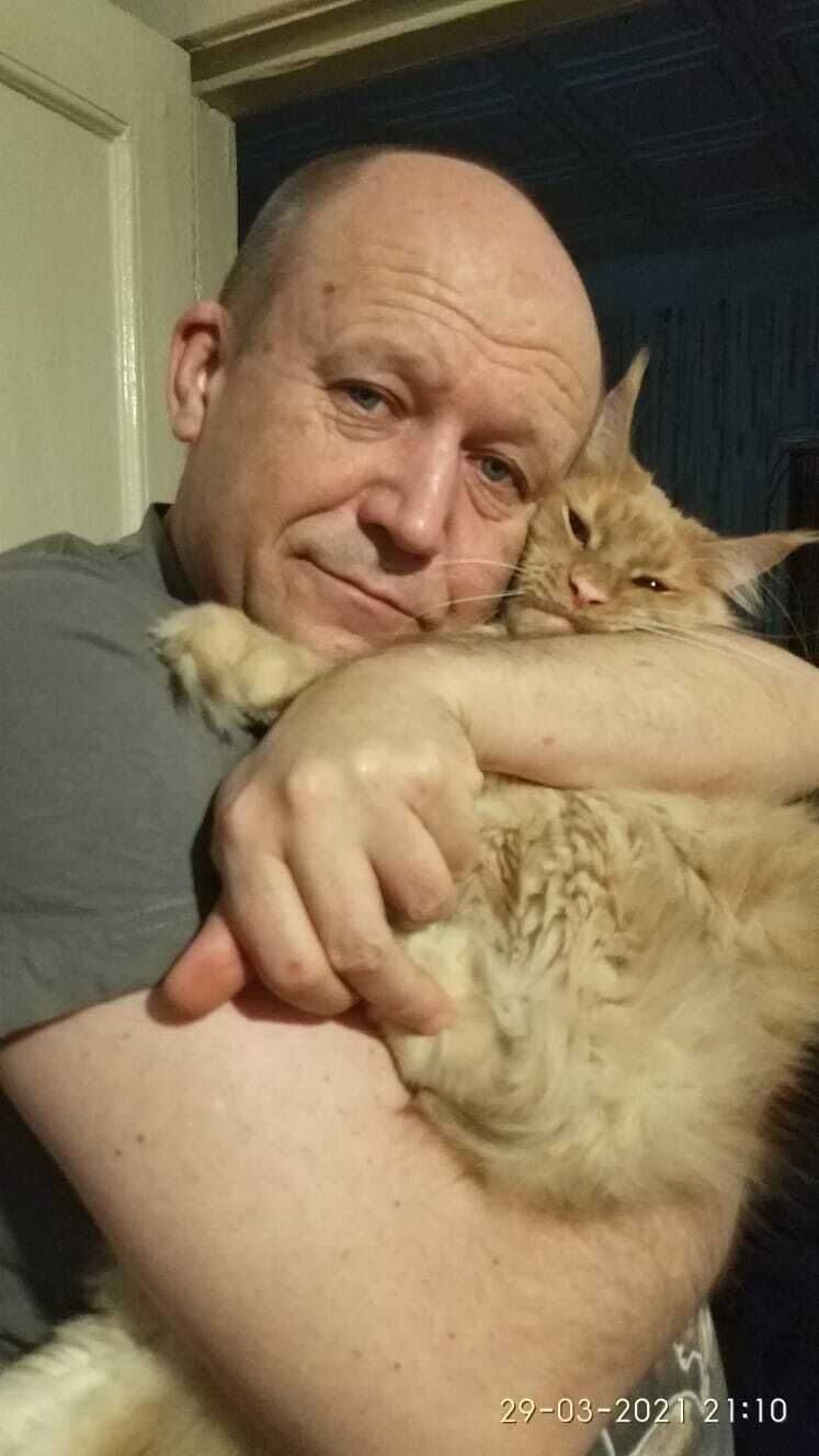 ���� 54111208 ������� ������, 61 ���, ���� ���������� � ���������