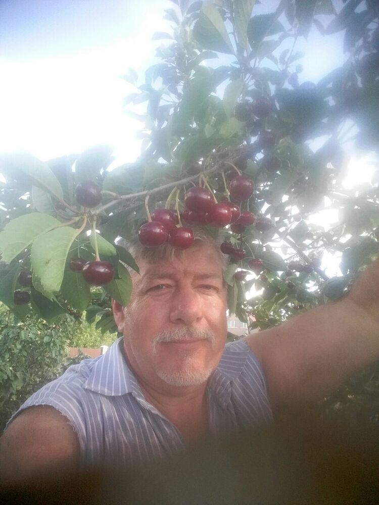 ���� 56494118 ������� Inguar, 61 ���, ���� ���������� � ��������