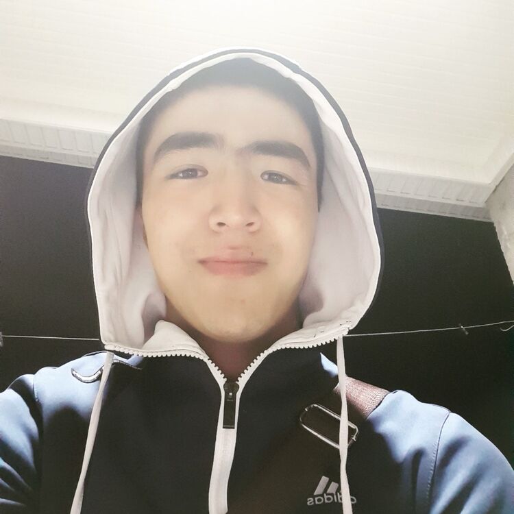 ���� 16336038 ������� ���������, 26 ���, ���� ���������� � ��������