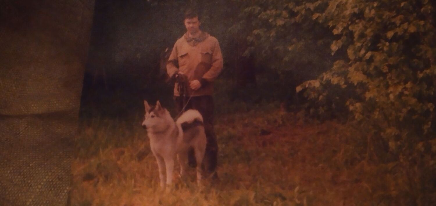  37420418  , 54 ,    -