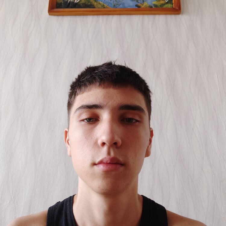  35311648  , 21 ,    