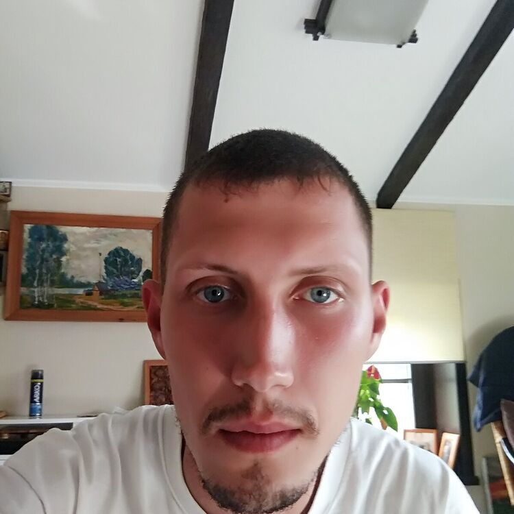  20649048  , 31 ,    