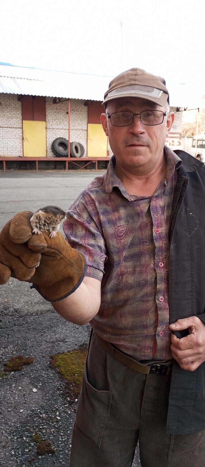 ���������� �������, ���� ������� ������, 55 ���, ������������ ��� ������, ����� � ���������