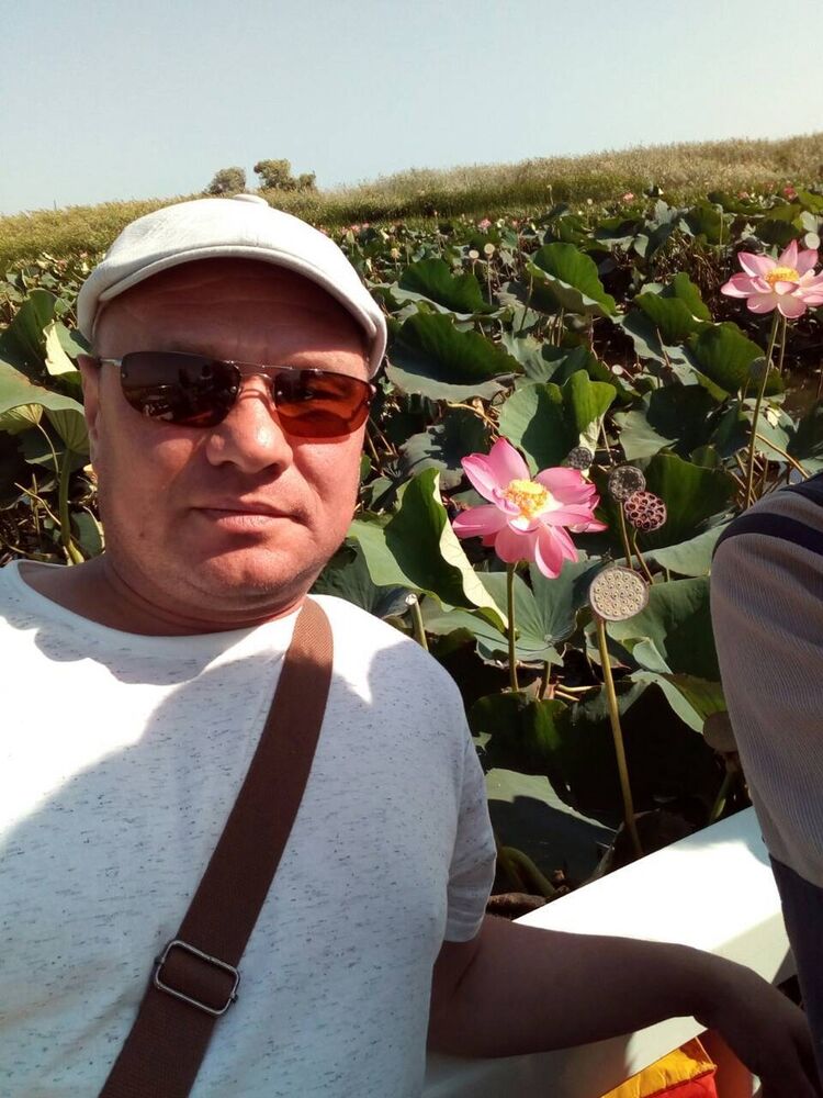 ���� 17177858 ������� �������, 50 ���, ���� ���������� � �����