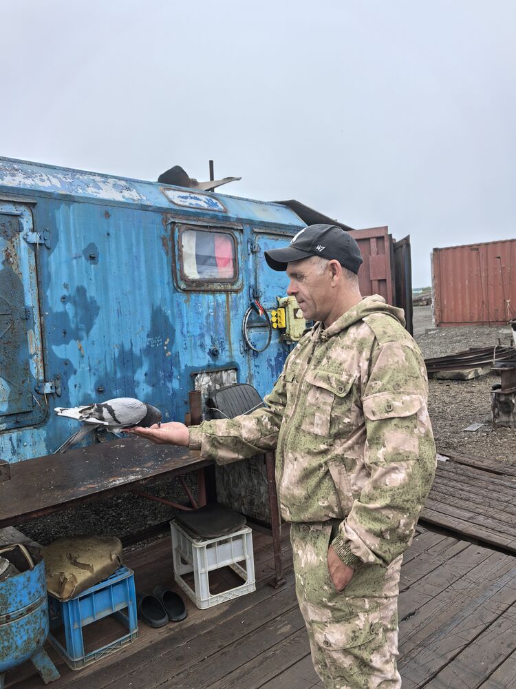 ���� 55845058 ������� ������, 49 ���, ���� ���������� � �������