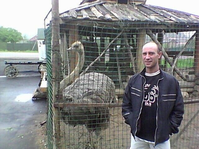  ,   , 42 ,   c 