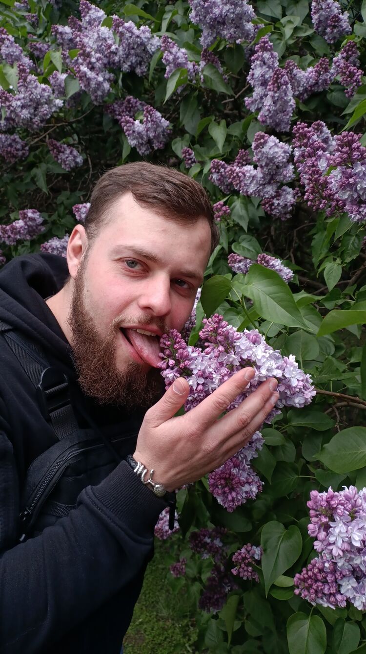 ���� 35336368 ������� ������, 28 ���, ���� ���������� � ������