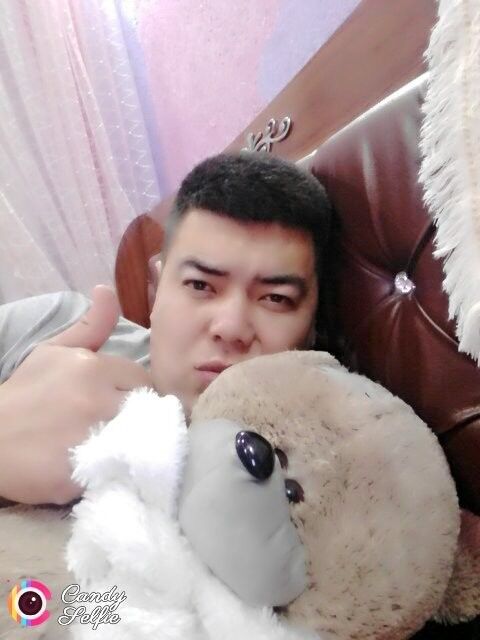 ,   BOBUR, 36 ,   ,   , c , 