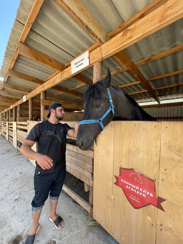 ���� 23971068 ������� Rash, 30 ���, ���� ���������� � ���������