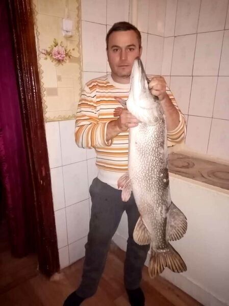 ���������� ���������, ���� ������� �������, 45 ���, ������������ ��� c�������� ���������