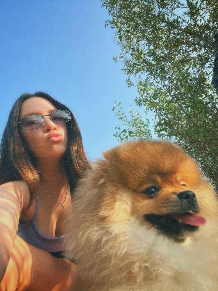 ���� 45070208 ������� ���, 26 ���, ���� ���������� � ������