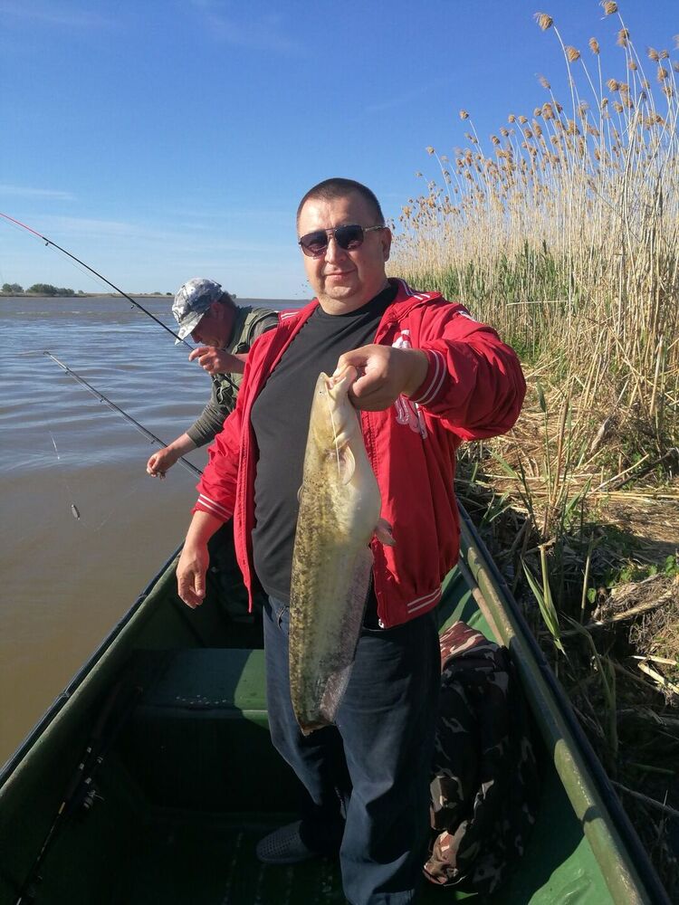 ���������� ���������, ���� ������� �������, 50 ���, ������������ ��� ������, ����� � ���������