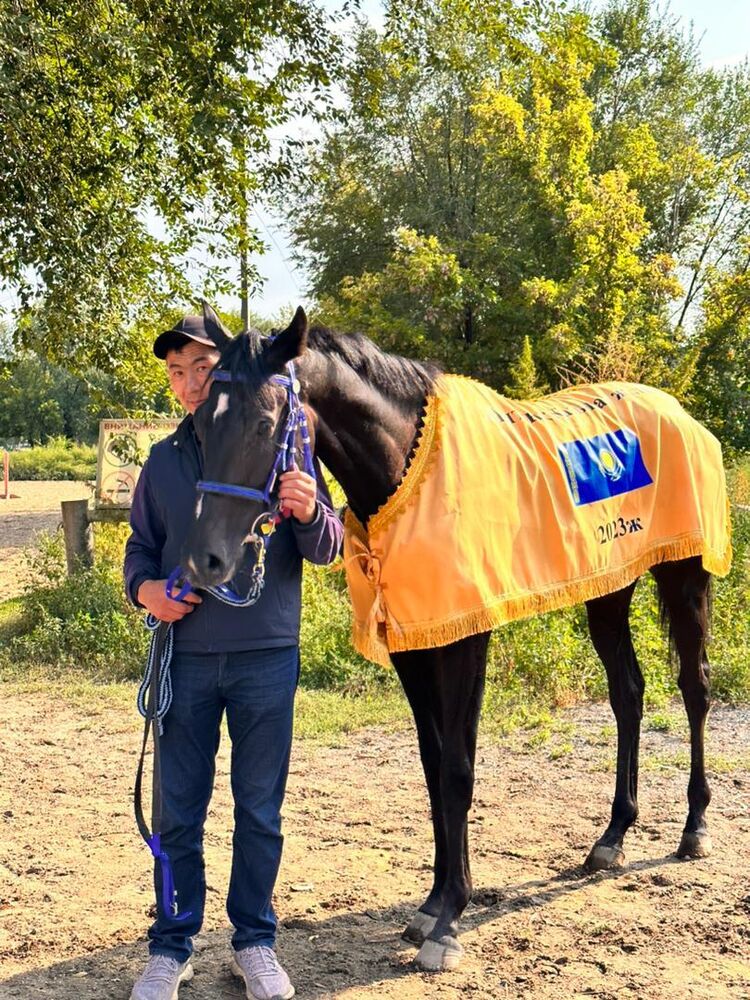 ���� 38249238 ������� �����, 44 ����, ���� ���������� � ������