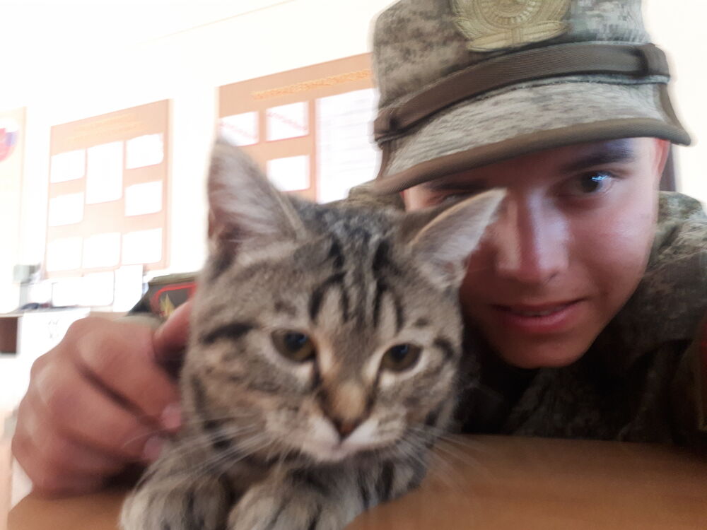  ,   , 27 ,   
