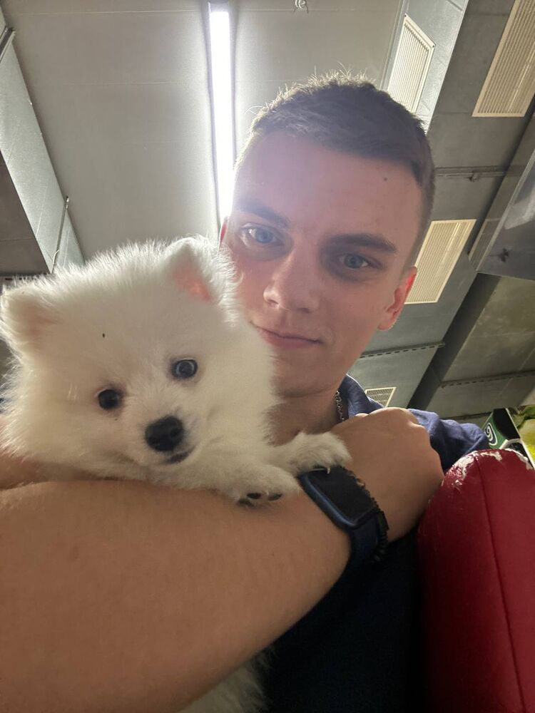 ���� 45906998 ������� Petruchca, 26 ���, ���� ���������� � �����