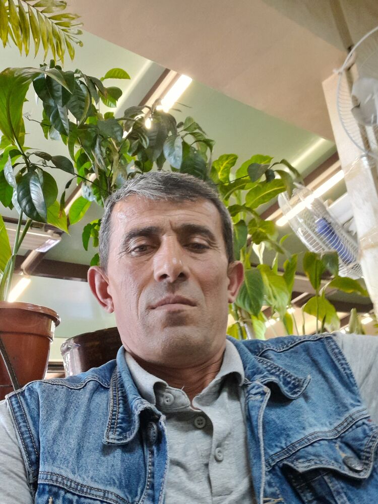 ���������� ������, ���� ������� Vusal, 48 ���, ������������ ��� ������, ����� � ���������, c�������� ���������, ���������