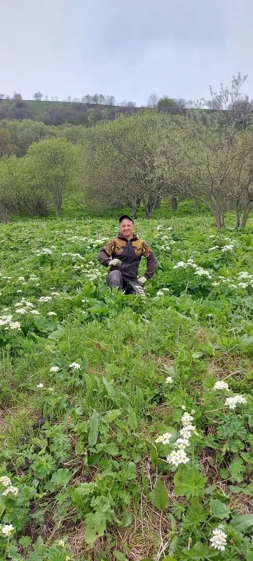 ���������� ����������, ���� ������� Sergey, 46 ���, ������������ ��� ������, ����� � ���������, c�������� ���������