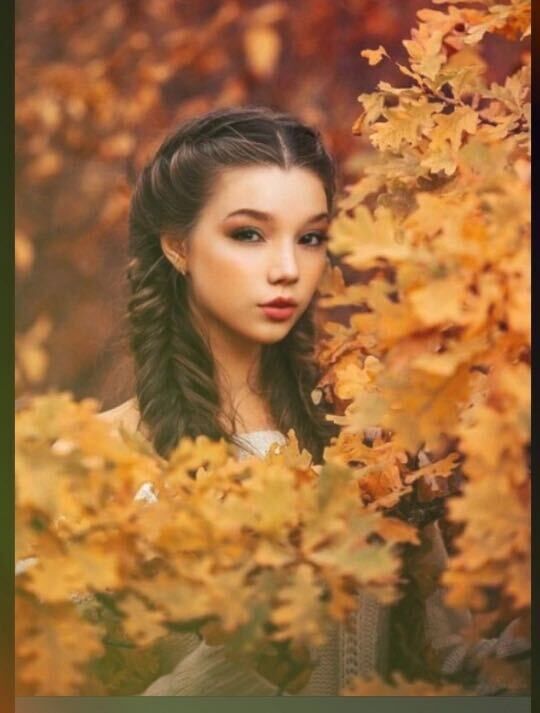  27514538  , 21 ,    -