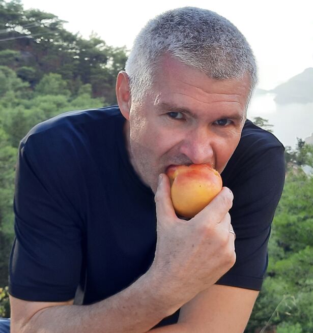  44742088  , 55 ,    -