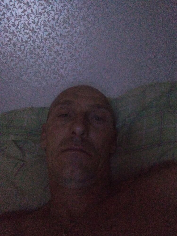  28875408  , 40 ,    