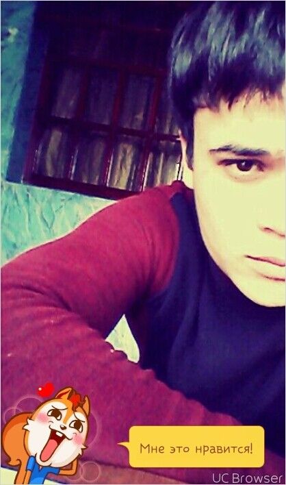  9095078  , 29 ,    -