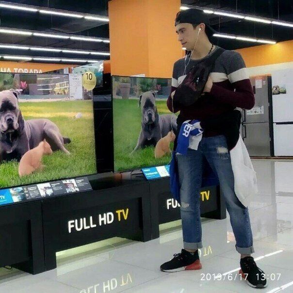 ���������� �����-���������, ���� ������� ����, 27 ���, ������������ ��� ������, ����� � ���������