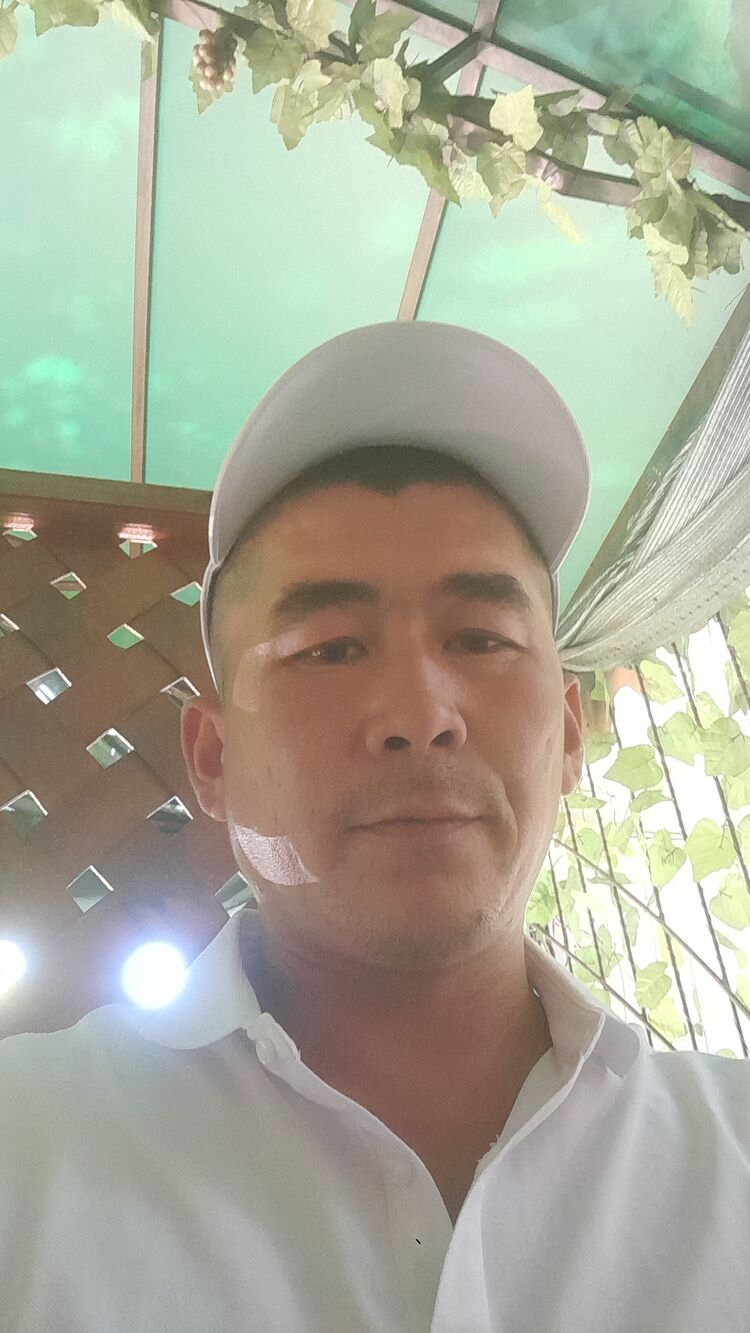  51956588  , 31 ,    