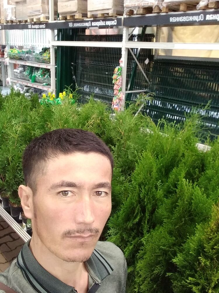 ���� 29522388 ������� ������, 37 ���, ���� ���������� � �����-����������