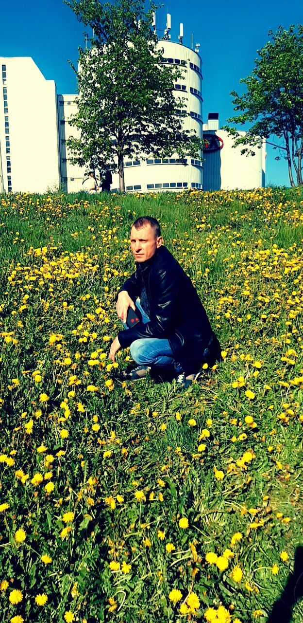 ���� 39913578 ������� �������, 50 ���, ���� ���������� � ������