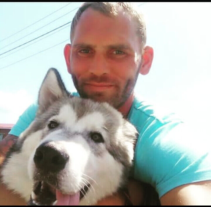 ���������� ���������, ���� ������� ����, 44 ����, ������������ ��� c�������� ���������