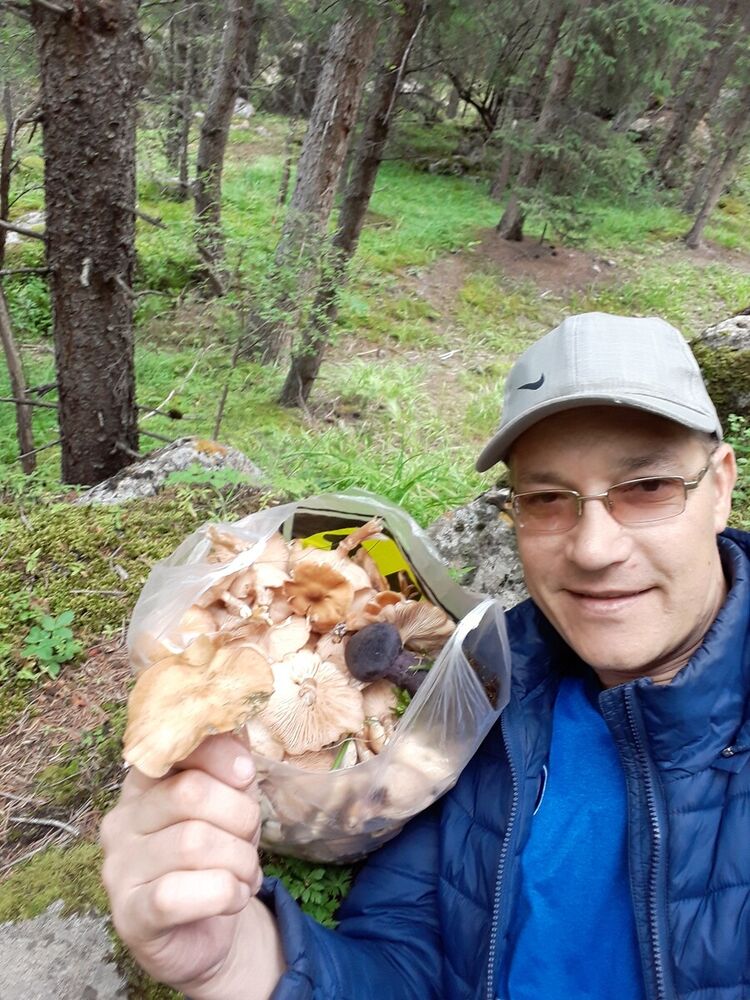  20712738  , 42 ,    