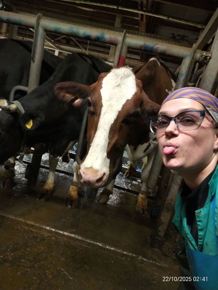 ���������� �����, ���� ������� ���������, 24 ����, ������������ ��� ������, ����� � ���������, ���������