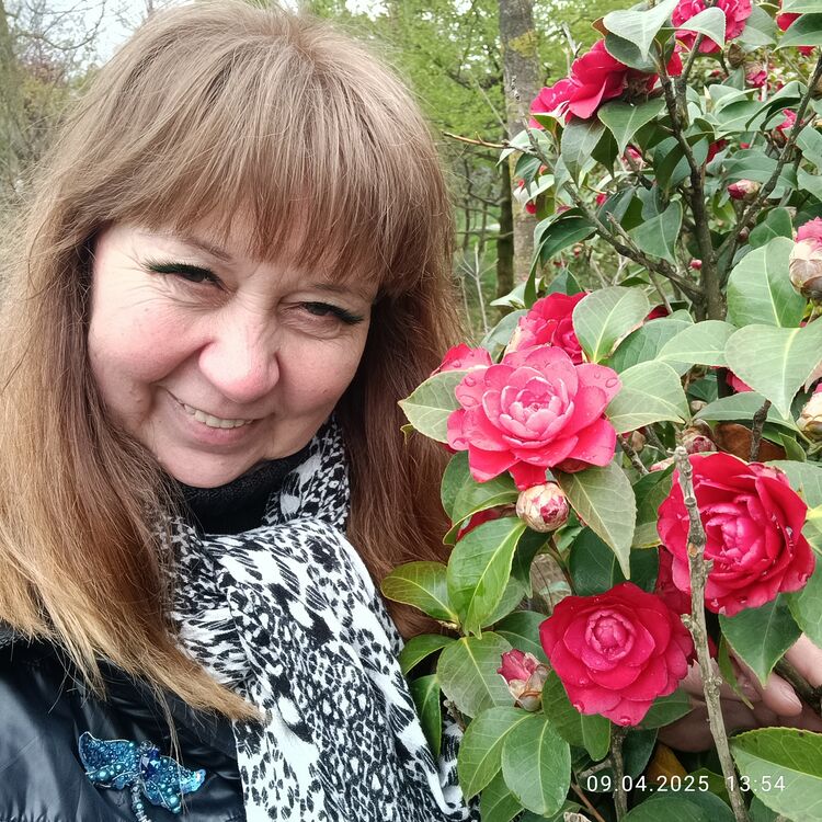 ���� 51364028 ������� ��������, 55 ���, ���� ���������� � ������