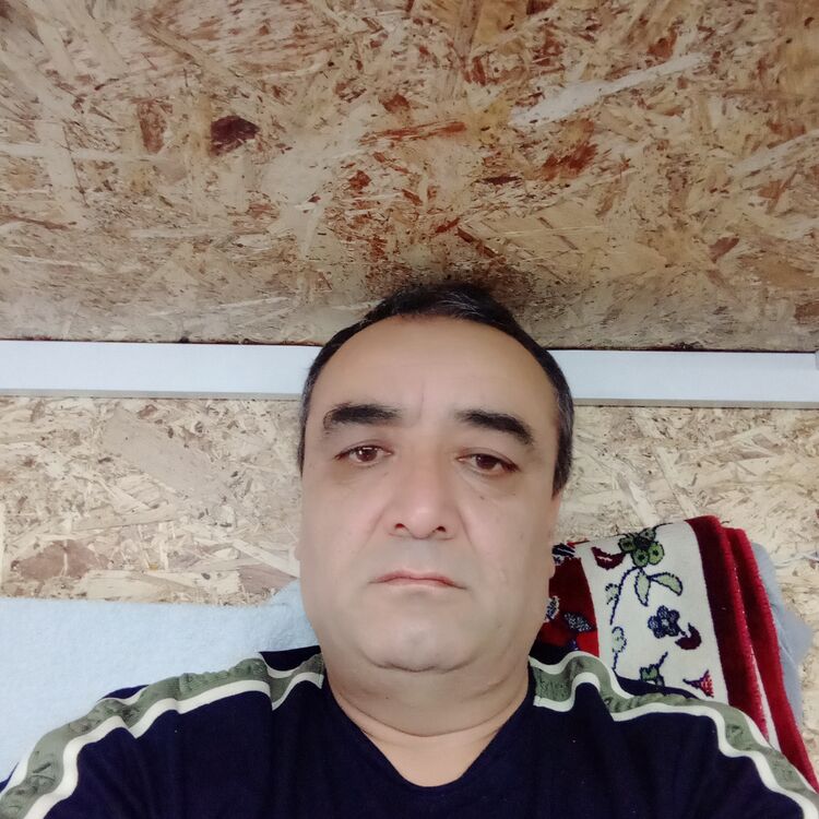 ���� 54847088 ������� �������, 52 ����, ���� ���������� � ���������