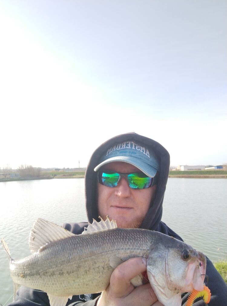 ���������� ������-��-����, ���� ������� ����, 44 ����, ������������ ��� c�������� ���������