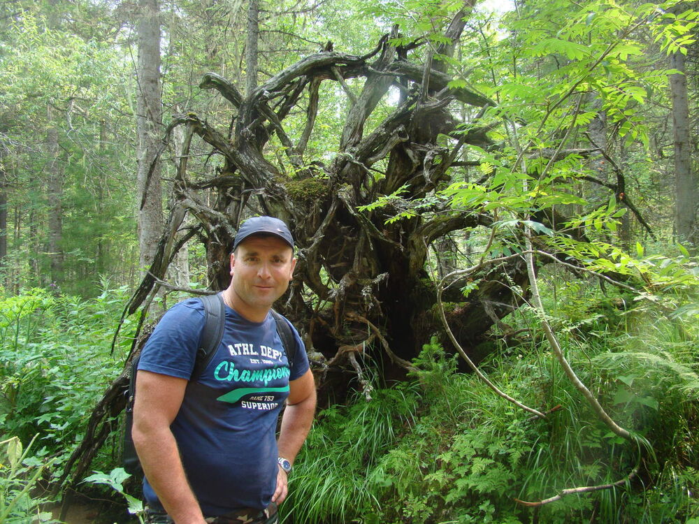 ���� 24024398 ������� ����, 55 ���, ���� ���������� � ������������