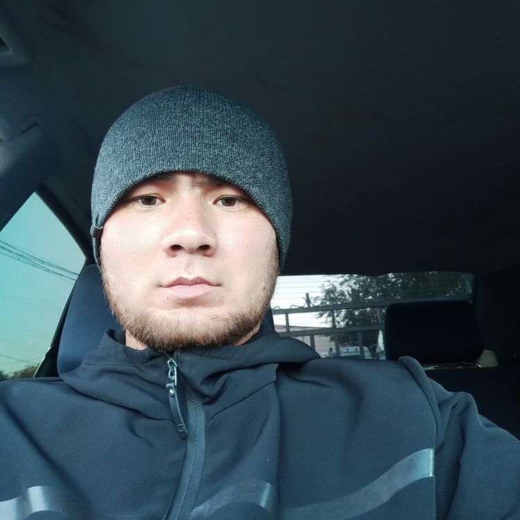  43893058  , 33 ,    