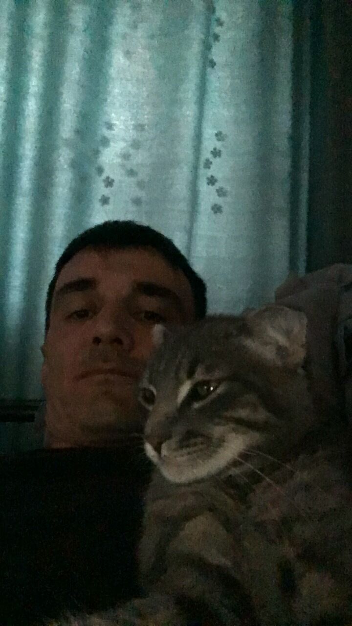 ���� 33748208 ������� ������, 38 ���, ���� ���������� � ���