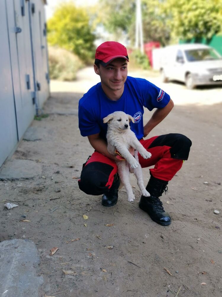 ���� 24944488 ����� �������, 25 ���, ���� ���������� � ��������