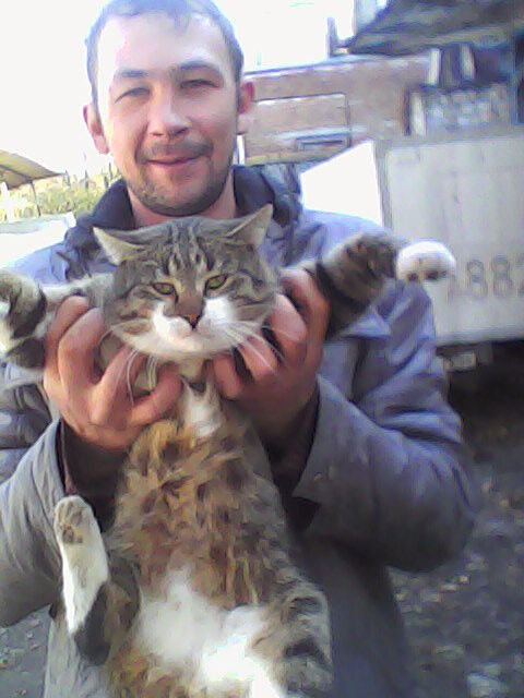 ���� 4109978 ������� �����, 41 ���, ���� ���������� � ����������