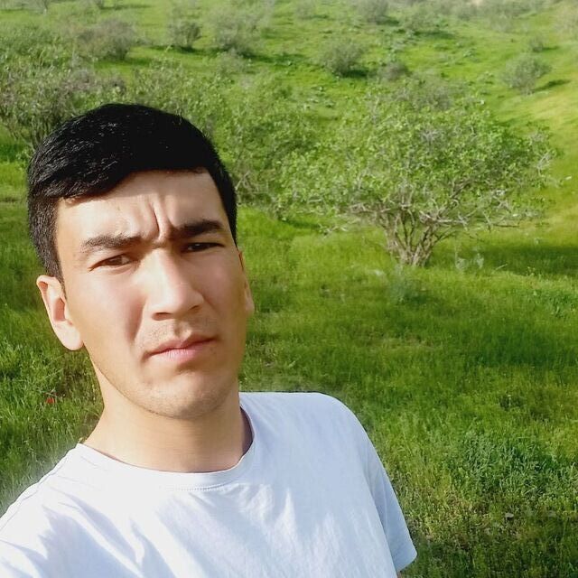 ���� 55050588 ����� Shahzod, 24 ����, ���� ���������� � �����