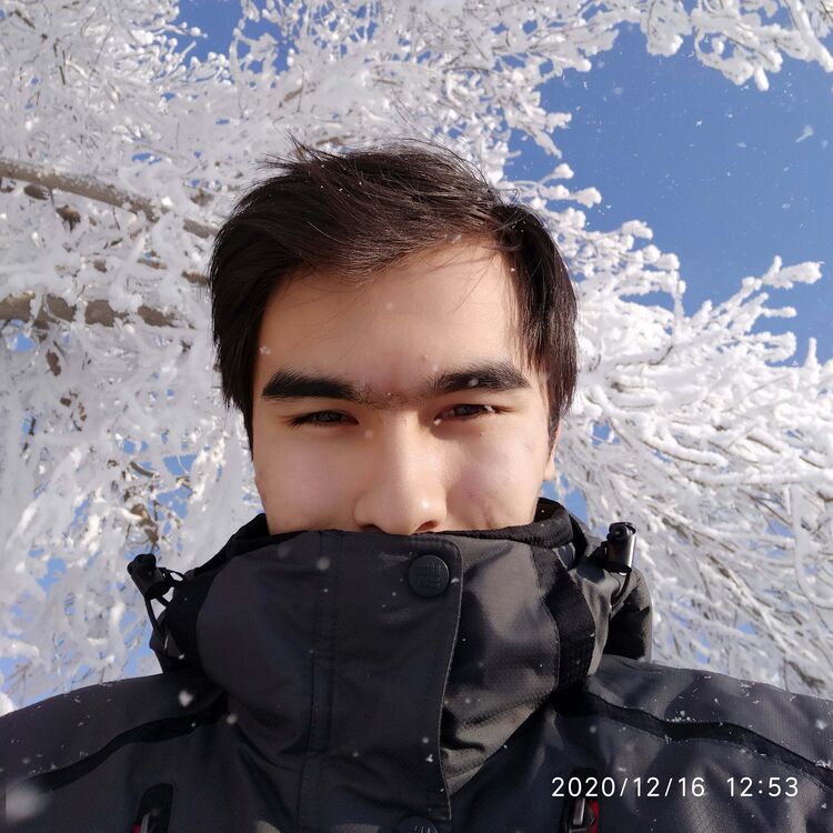 ���� 24994388 ����� �������, 24 ����, ���� ���������� � ������