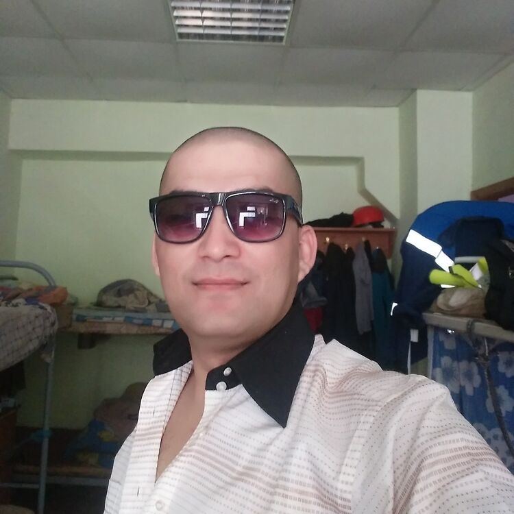 ���� 16849628 ������� �����, 33 ����, ���� ���������� � ���������