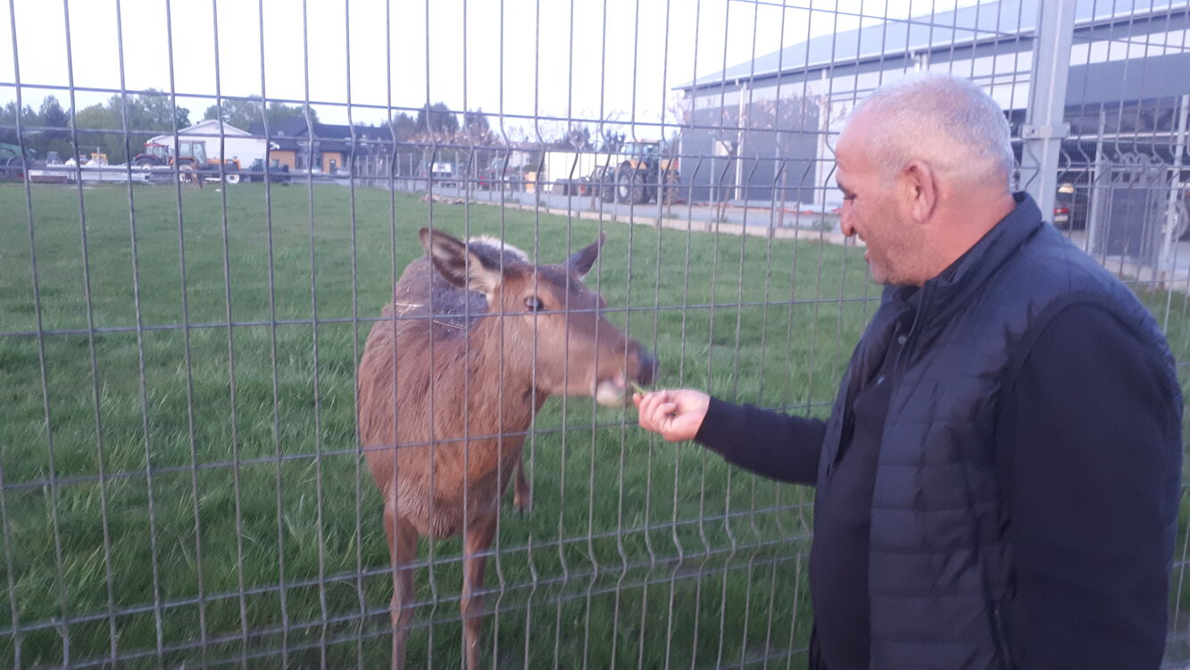 ���� 51672888 ������� ���, 59 ���, ���� ���������� � �������