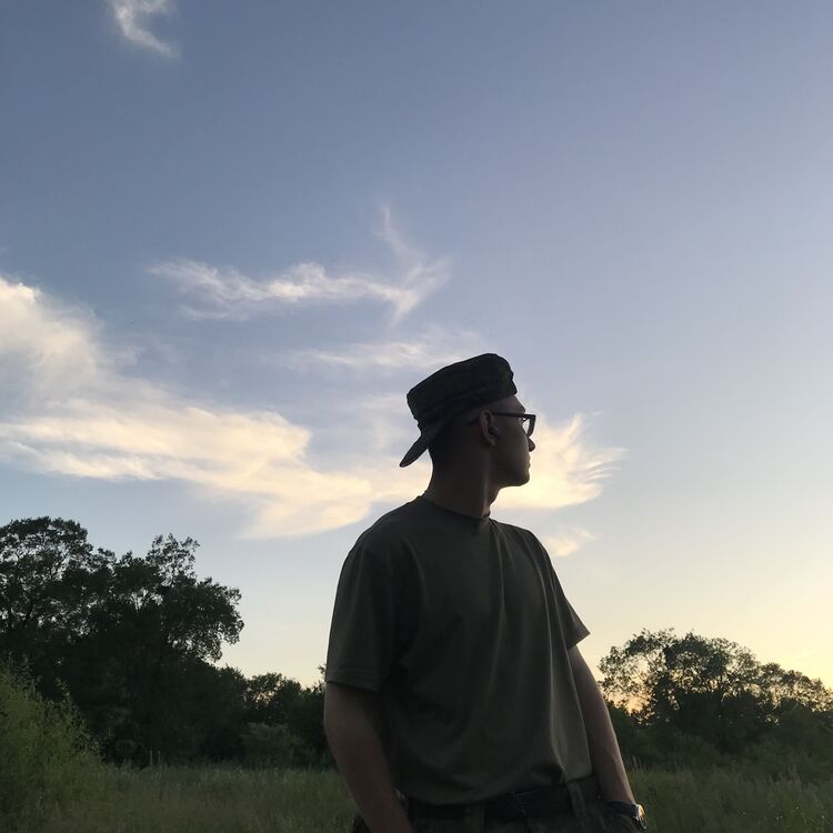  52815528  , 19 ,    