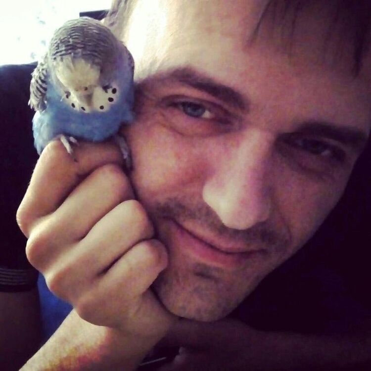 ���� 32437318 ������� ����, 35 ���, ���� ���������� � �����������