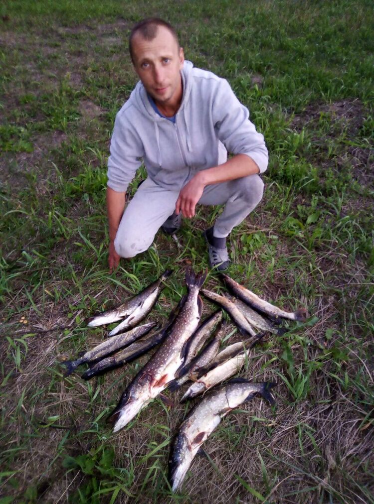 ���������� ������, ���� ������� ������, 38 ���, ������������ ��� ������, ����� � ���������