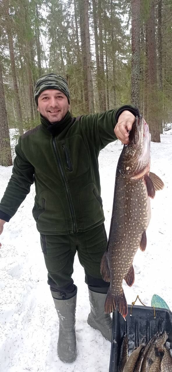 ���� 53791548 ������� ������, 35 ���, ���� ���������� � �����